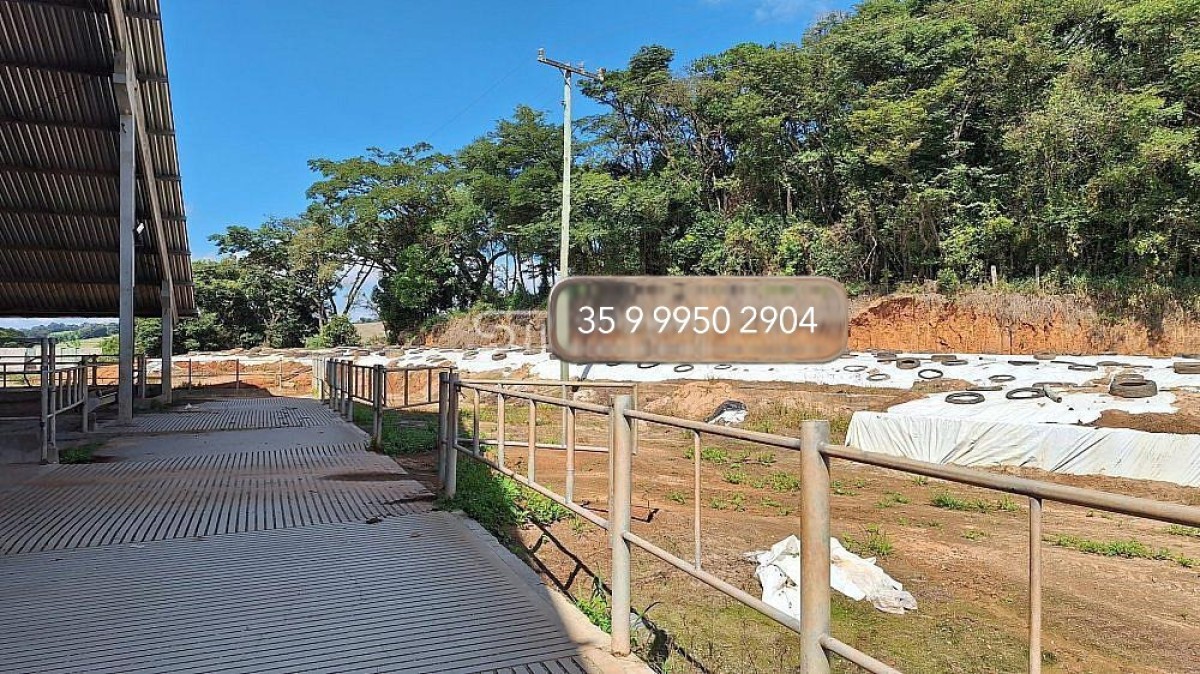 Fazenda, 160 hectares - Foto 21