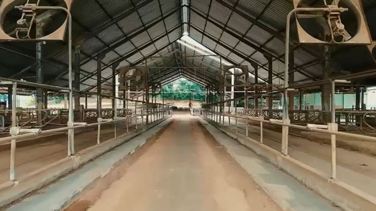 Fazenda, 160 hectares - Foto 3