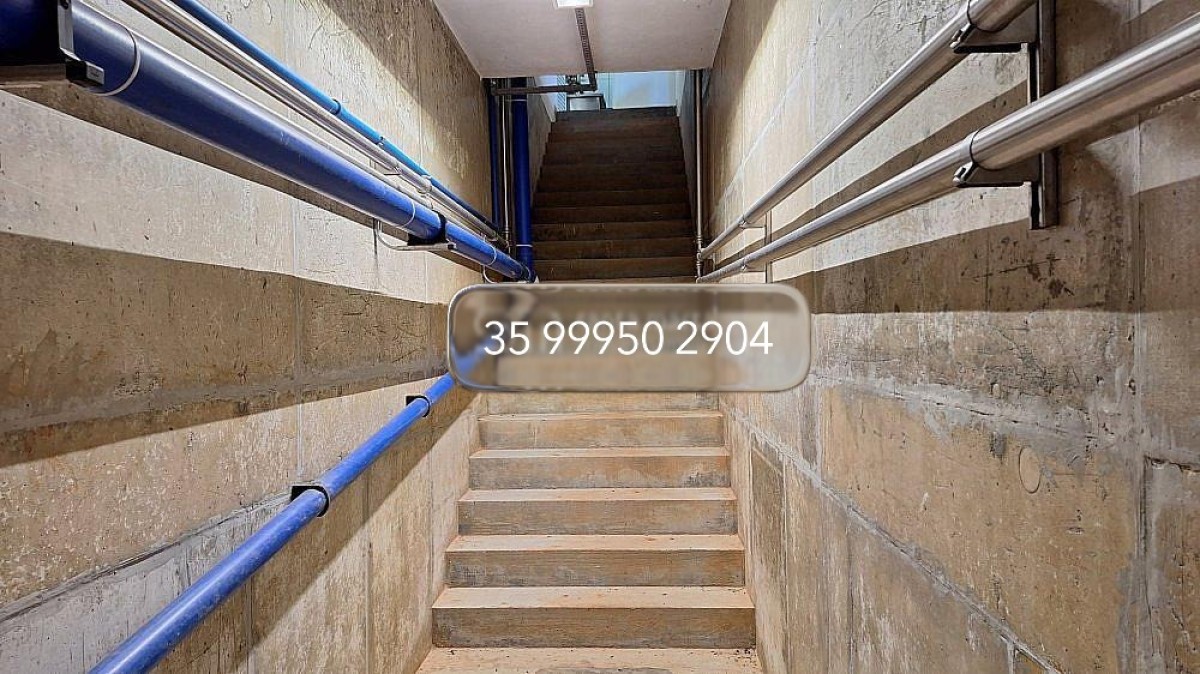 Fazenda, 160 hectares - Foto 23