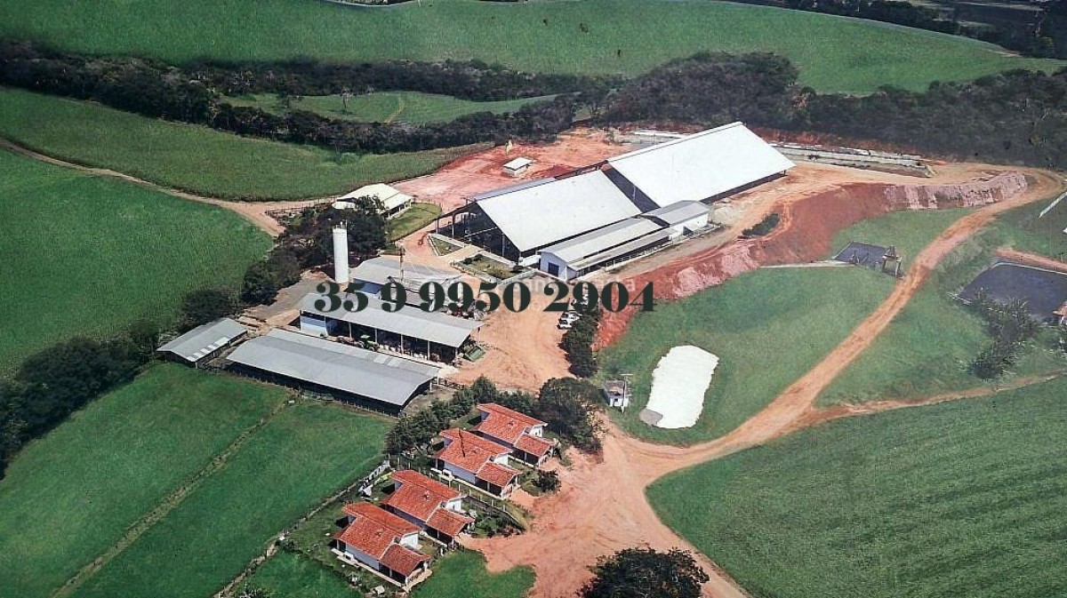 Fazenda, 160 hectares - Foto 6