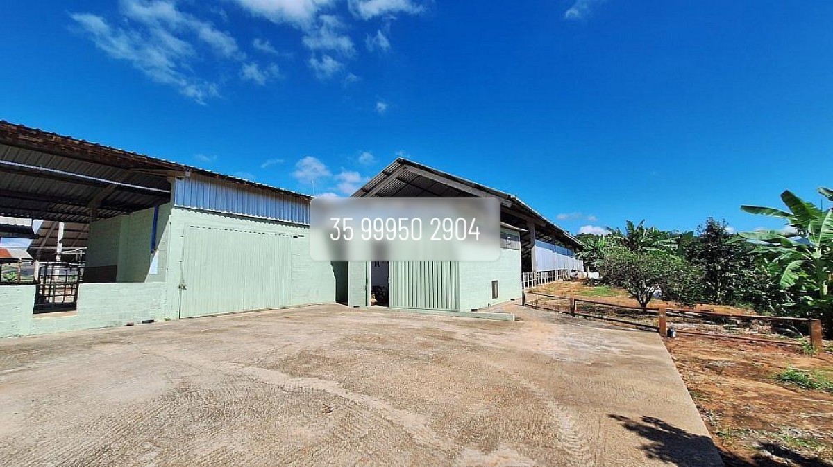 Fazenda, 160 hectares - Foto 22