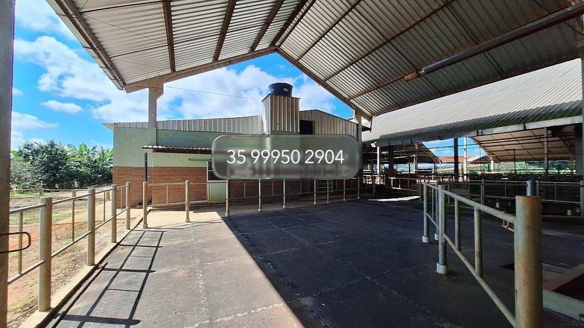 Fazenda, 160 hectares - Foto 15