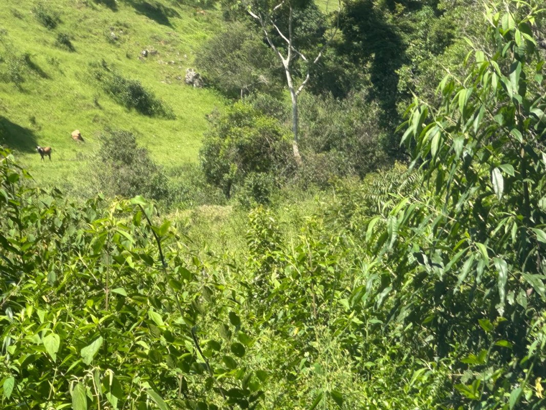 Fazenda, 1 quarto - Foto 7