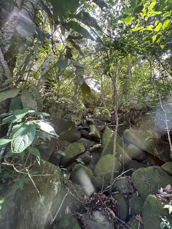 Fazenda, 1 quarto - Foto 4