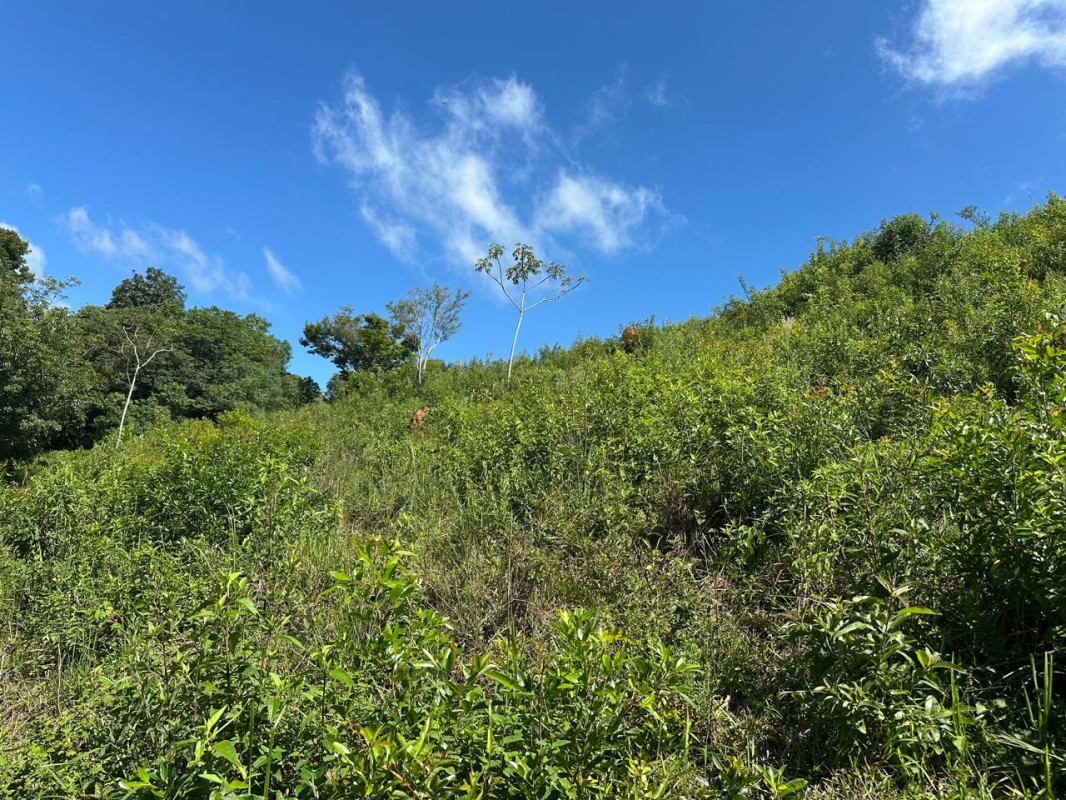 Fazenda, 1 quarto - Foto 10