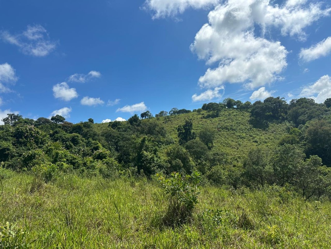 Fazenda, 1 quarto - Foto 5