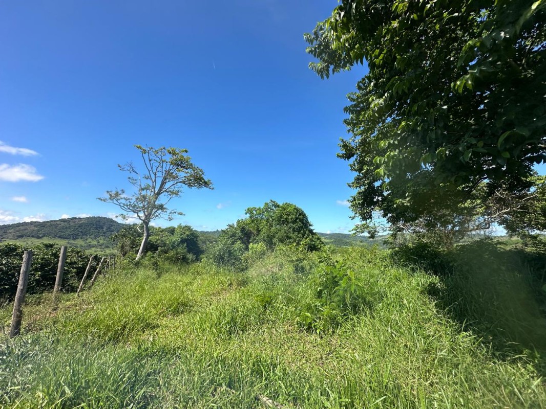 Fazenda, 1 quarto - Foto 2