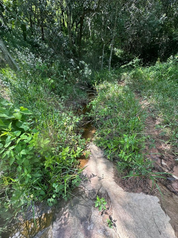 Fazenda, 1 quarto - Foto 8