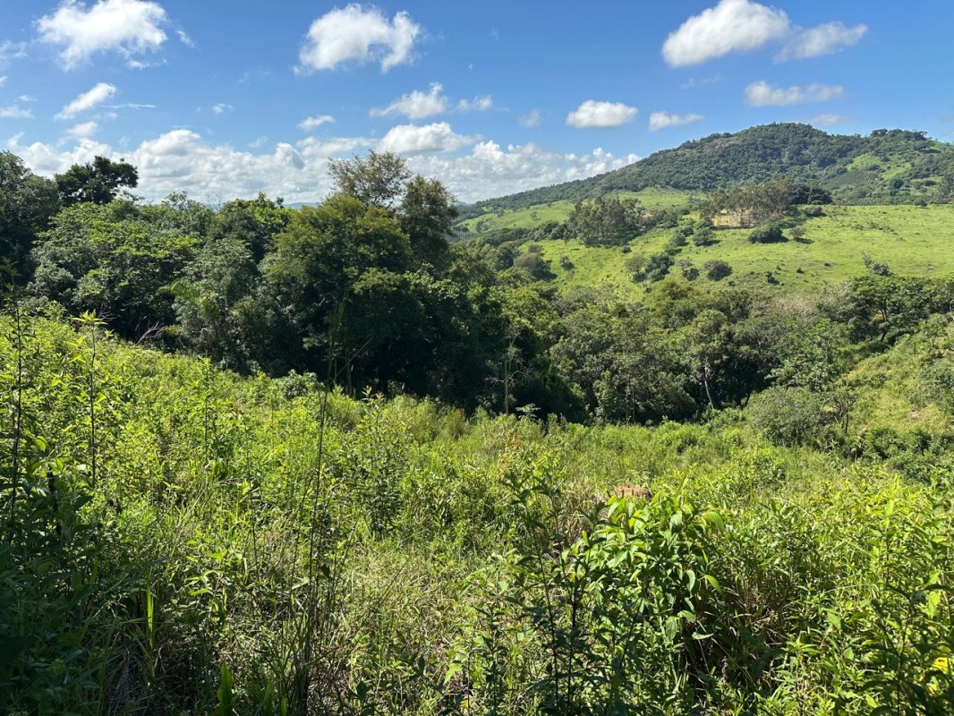 Fazenda, 1 quarto - Foto 11