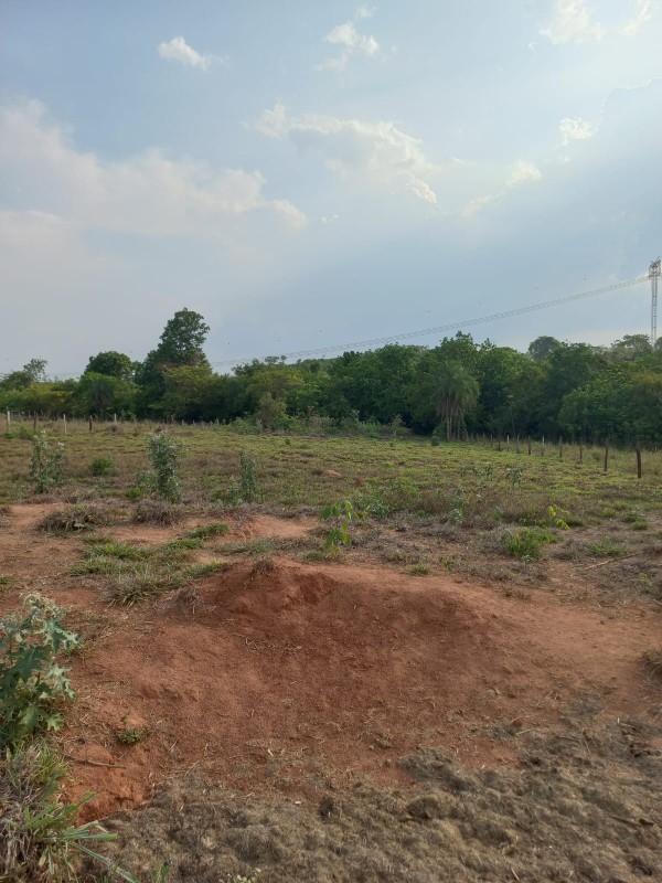 Chácara, 1 quarto - Foto 2