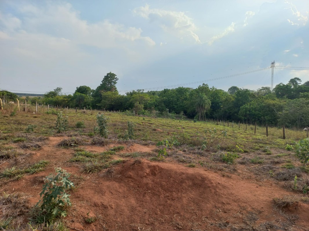 Chácara, 1 quarto - Foto 4