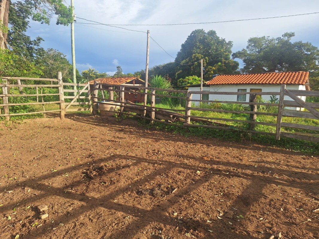 Fazenda, 1 hectares - Foto 3