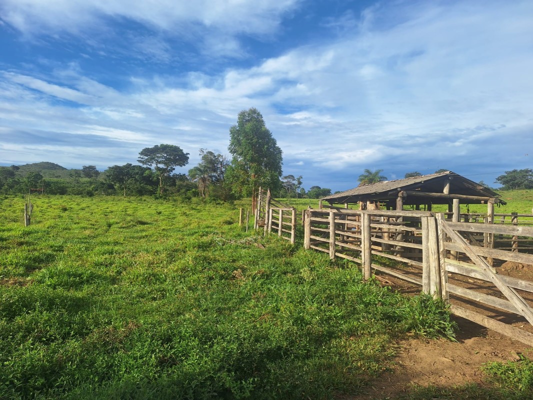 Fazenda, 1 hectares - Foto 1