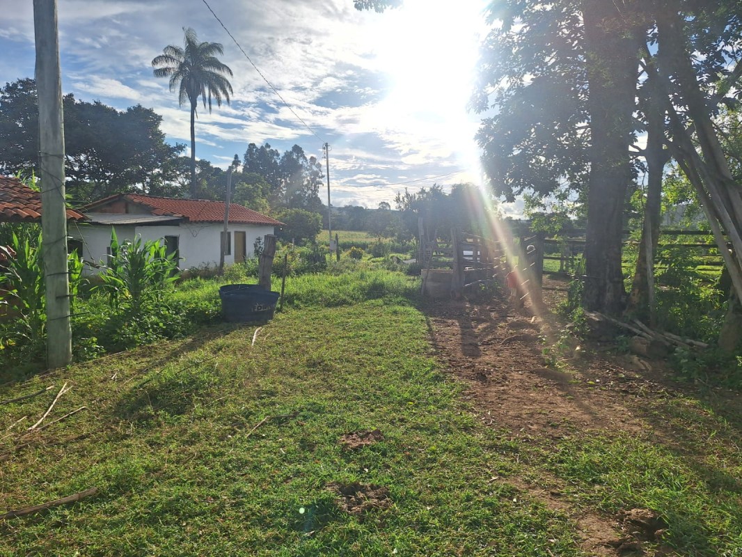 Fazenda, 1 hectares - Foto 4