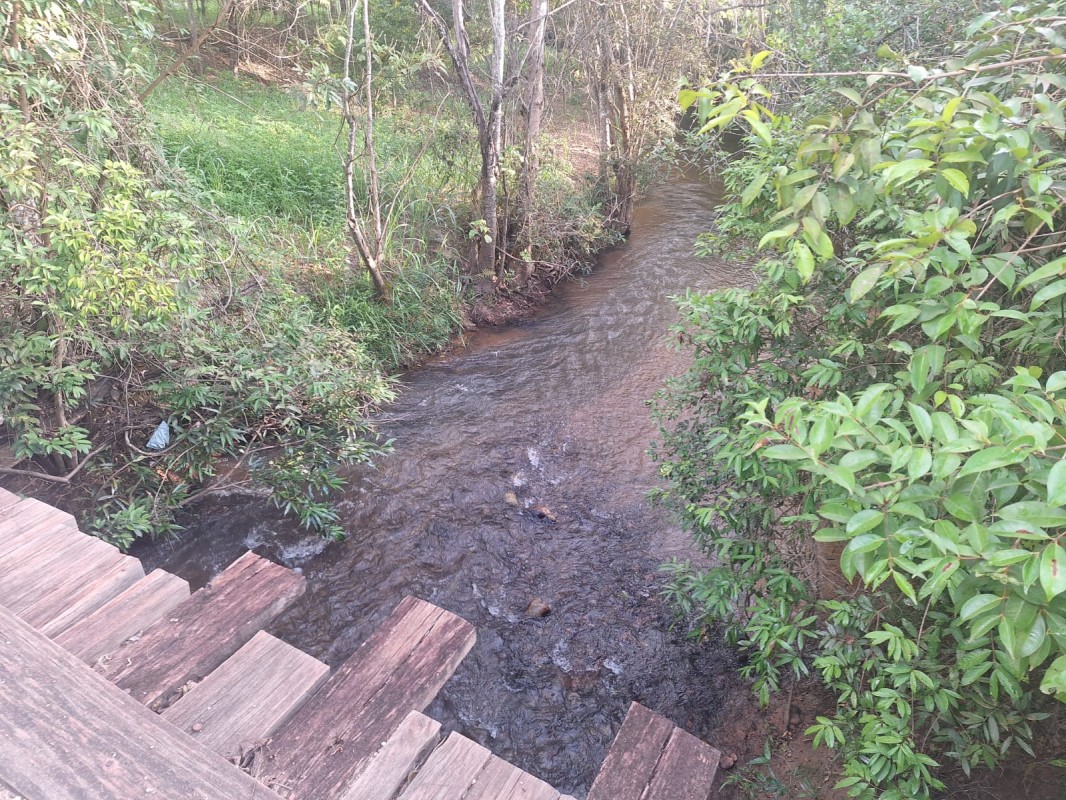 Fazenda, 1 hectares - Foto 7