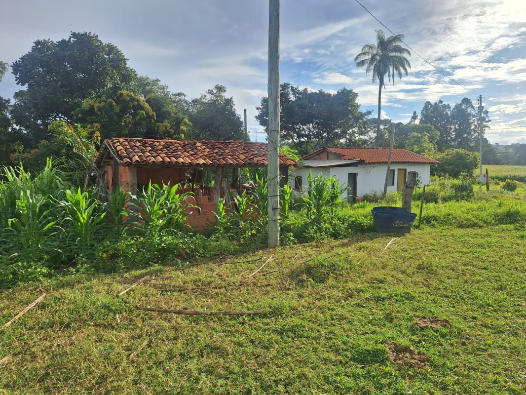 Fazenda, 1 hectares - Foto 2