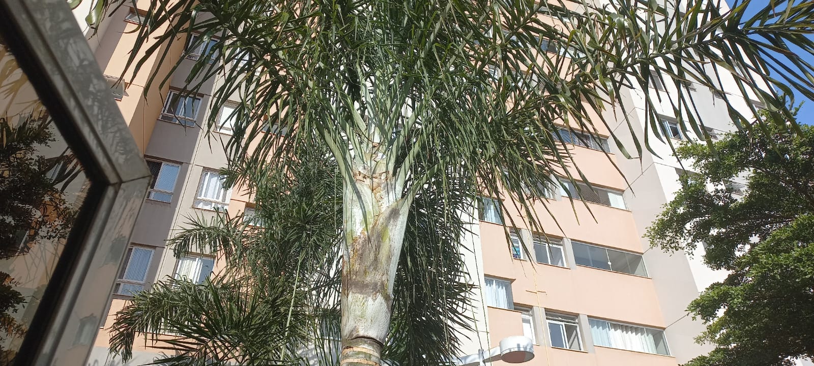 Apartamento, 2 quartos, 68 m² - Foto 18