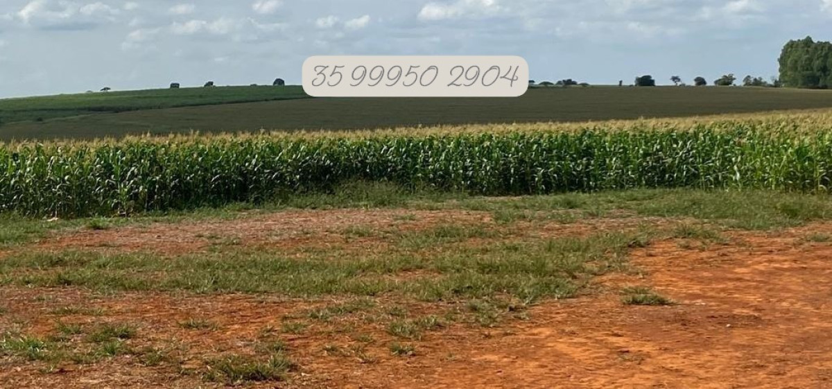 Fazenda, 210 hectares - Foto 8