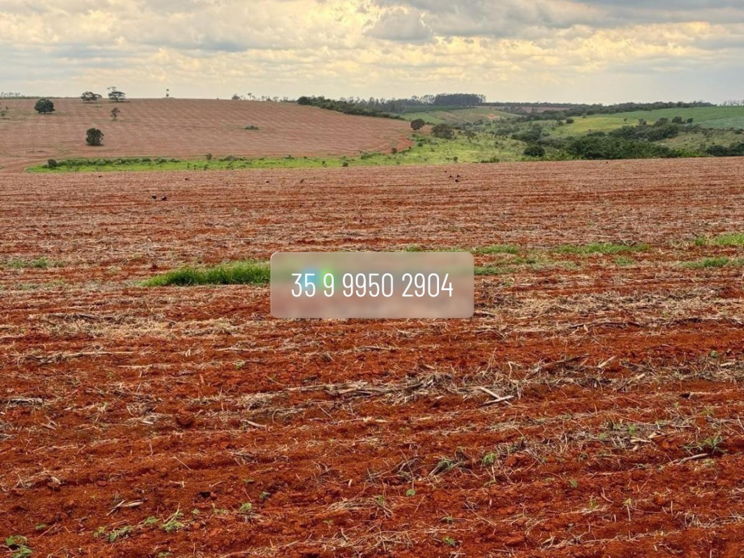 Fazenda, 210 hectares - Foto 22