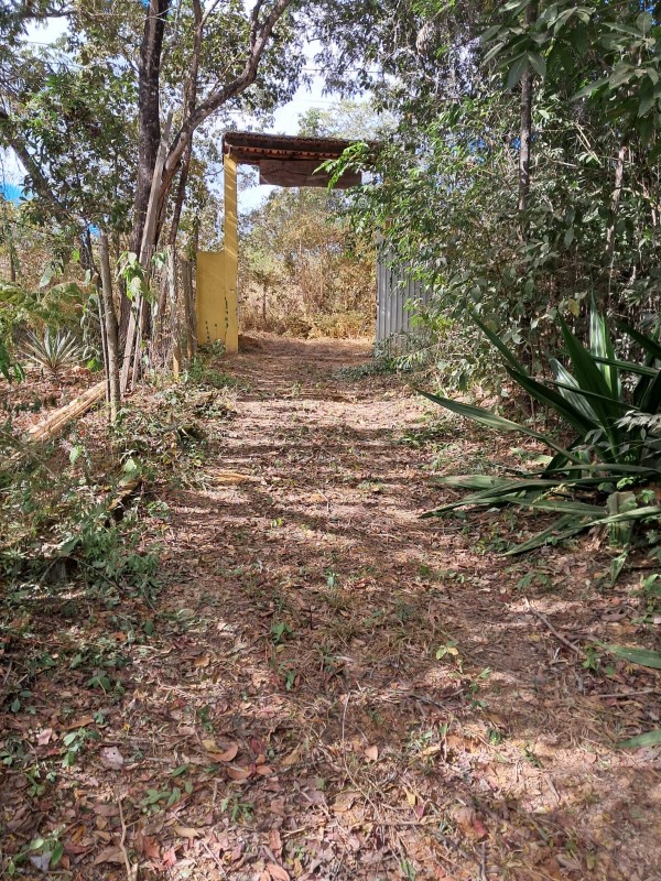 Chácara, 4 quartos - Foto 12