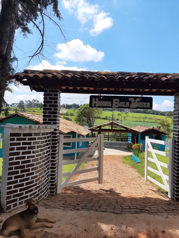 Chácara, 4 quartos, 5 hectares - Foto 2