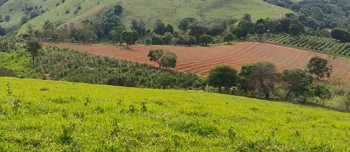 Fazenda, 118 hectares - Foto 1