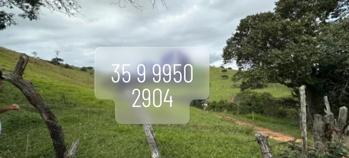 Sítio, 1 quarto, 40 hectares - Foto 1