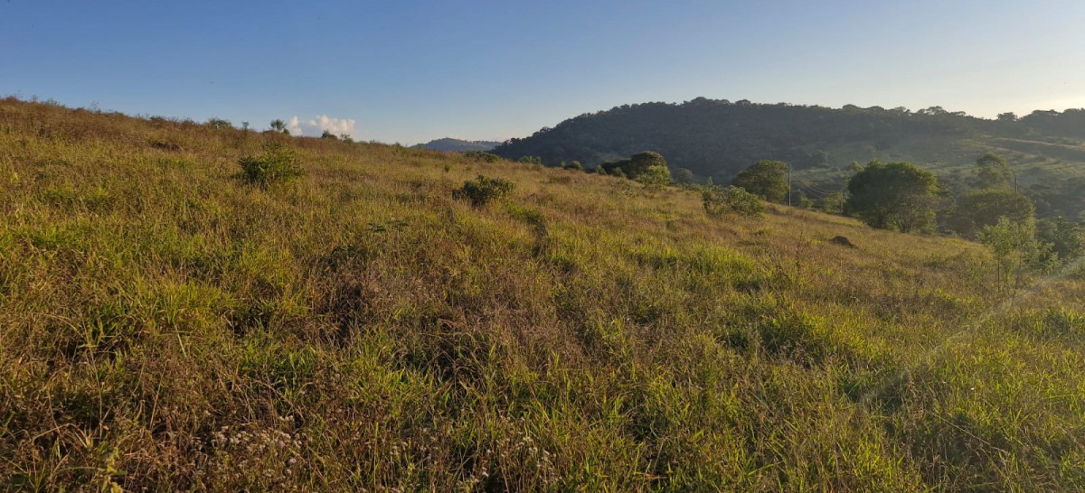 Chácara, 1 quarto, 56 hectares - Foto 10