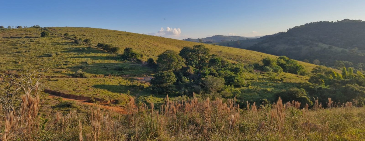 Chácara, 1 quarto, 56 hectares - Foto 9