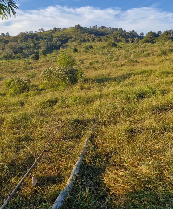 Chácara, 1 quarto, 56 hectares - Foto 11