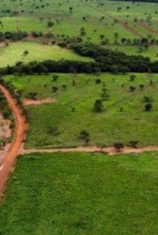 Fazenda, 831 hectares - Foto 22