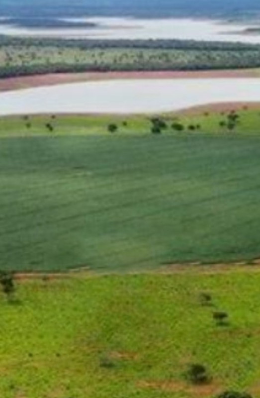 Fazenda, 831 hectares - Foto 18