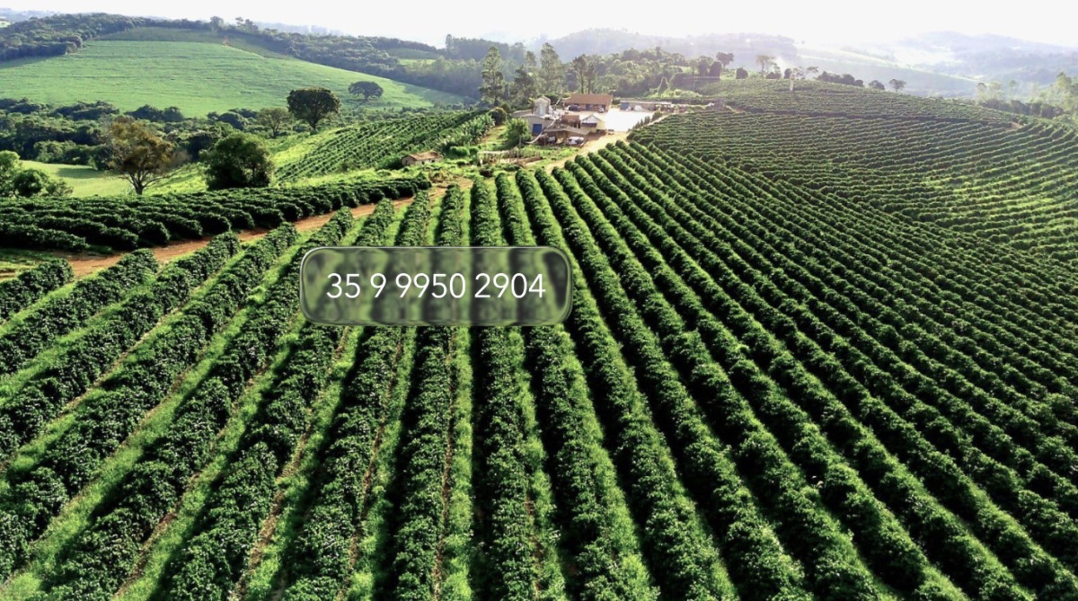 Chácara, 1 quarto, 97 hectares - Foto 6