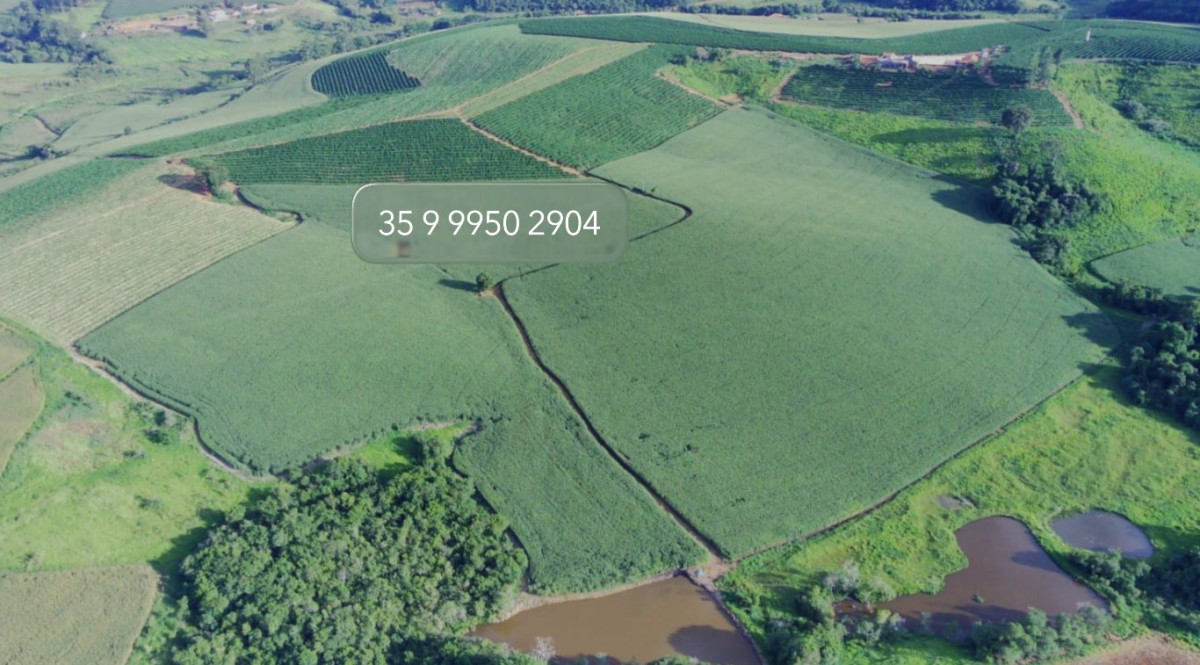 Chácara, 1 quarto, 97 hectares - Foto 14