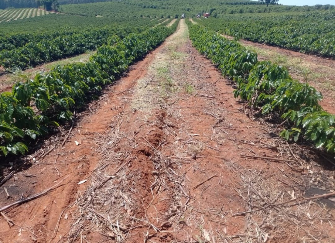 Chácara, 1 quarto, 97 hectares - Foto 22