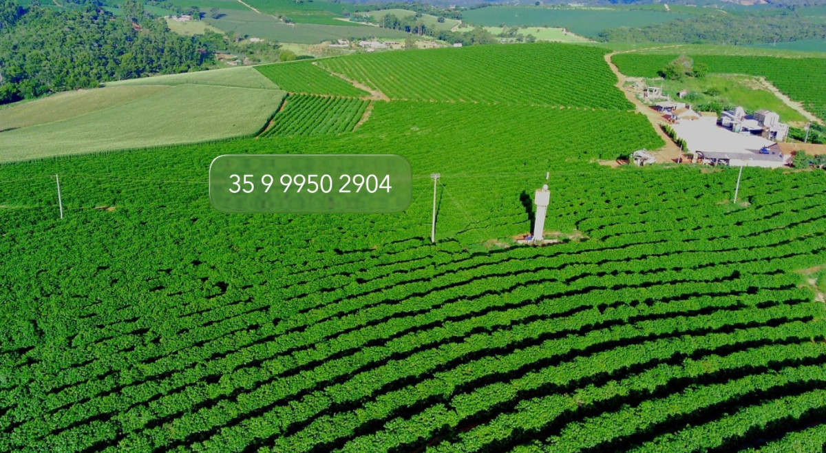 Chácara, 1 quarto, 97 hectares - Foto 7