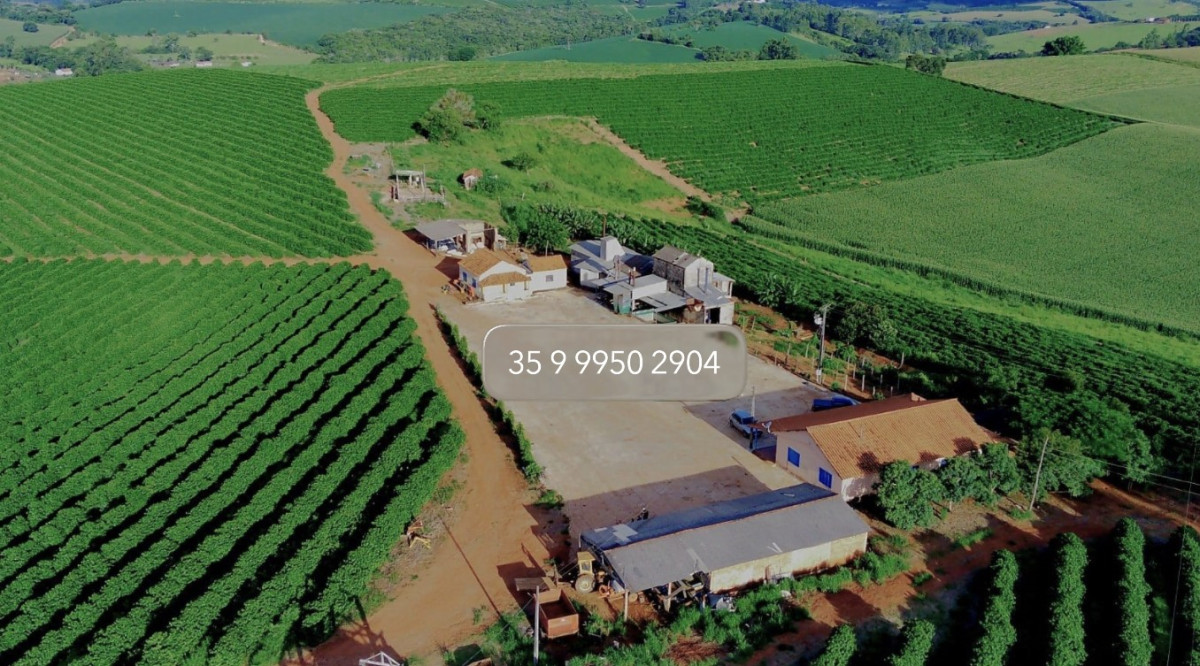 Fazenda, 97 hectares - Foto 2