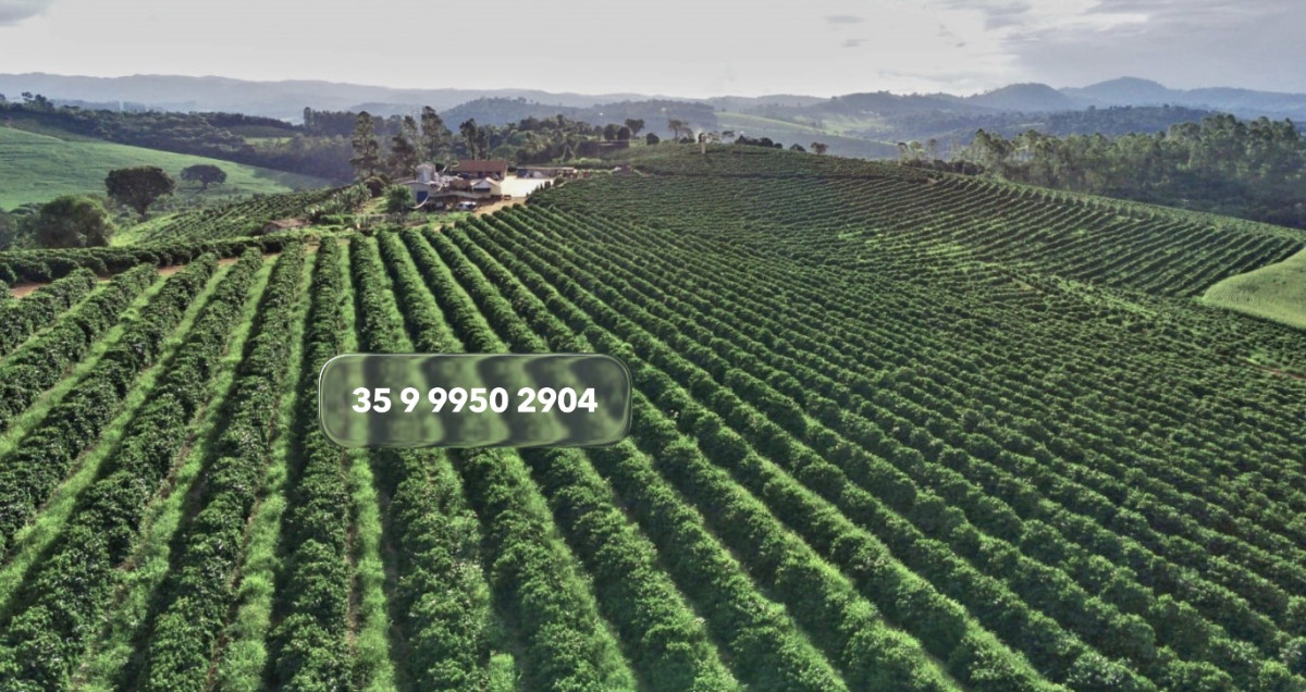 Chácara, 1 quarto, 97 hectares - Foto 8