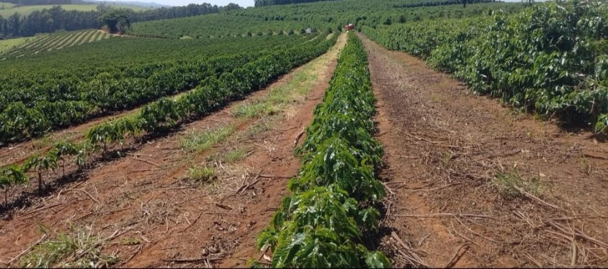 Chácara, 1 quarto, 97 hectares - Foto 21
