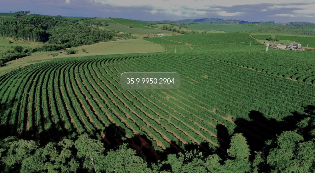 Chácara, 1 quarto, 97 hectares - Foto 17