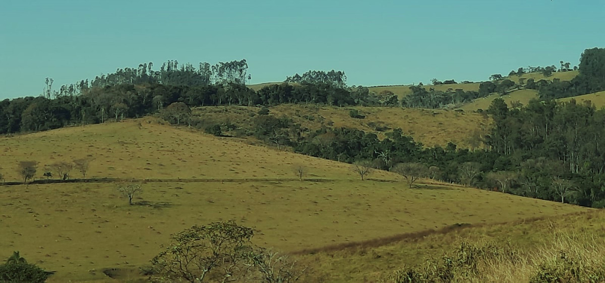 Fazenda, 131 hectares - Foto 2