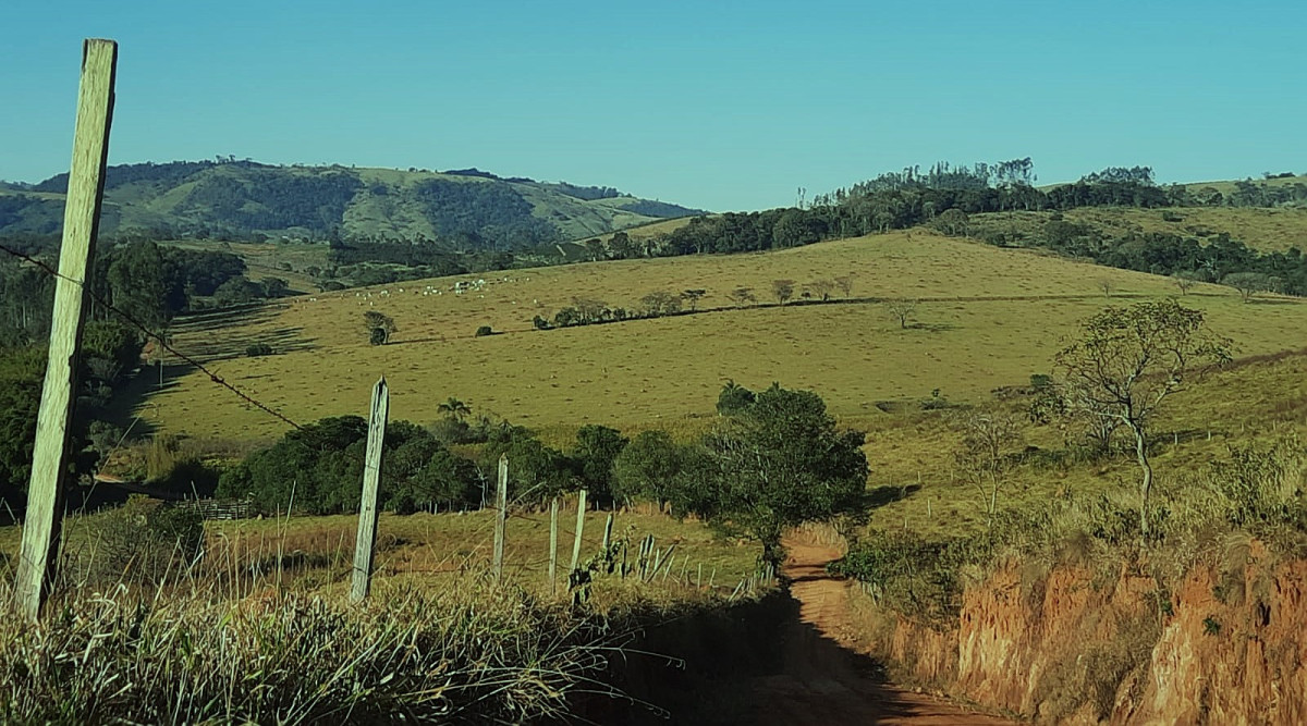 Fazenda, 131 hectares - Foto 4