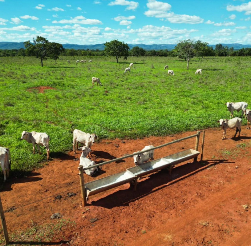 Fazenda, 1 quarto - Foto 6