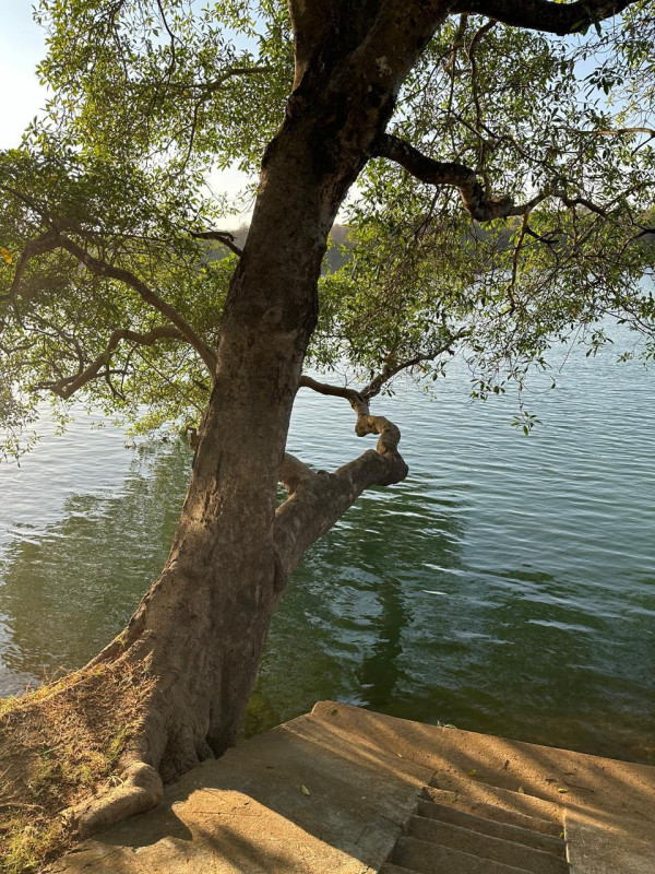 Fazenda, 1 quarto - Foto 3