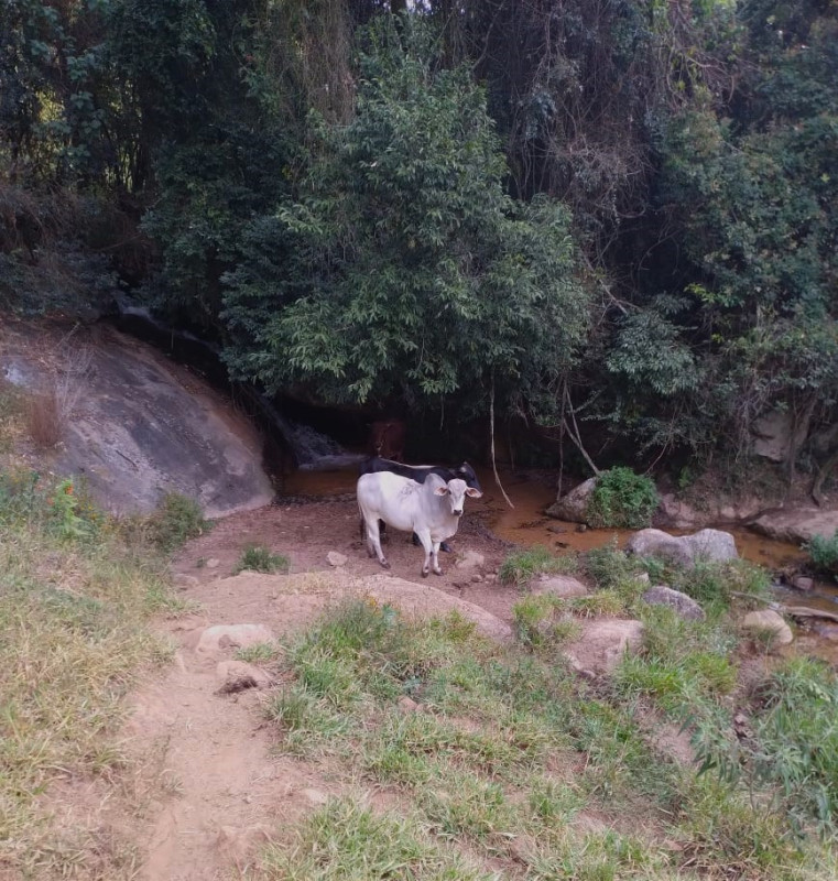 Chácara, 1 quarto, 73 hectares - Foto 18