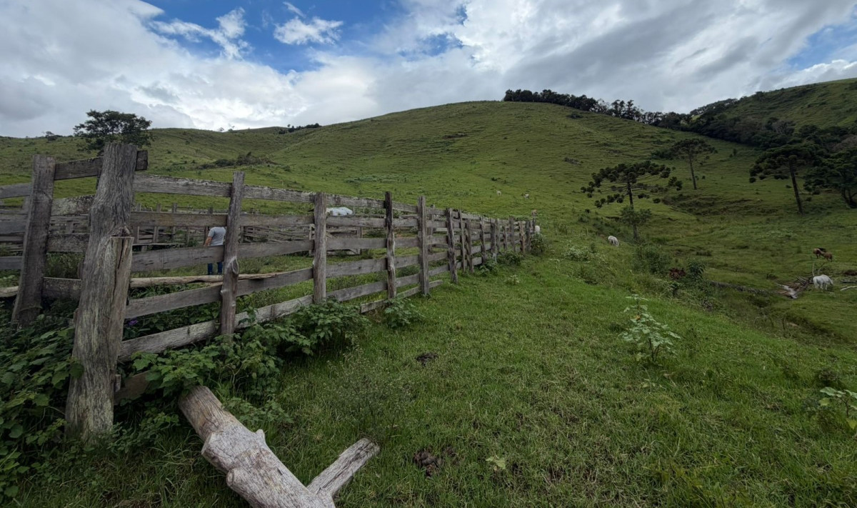 Fazenda, 73 hectares - Foto 1
