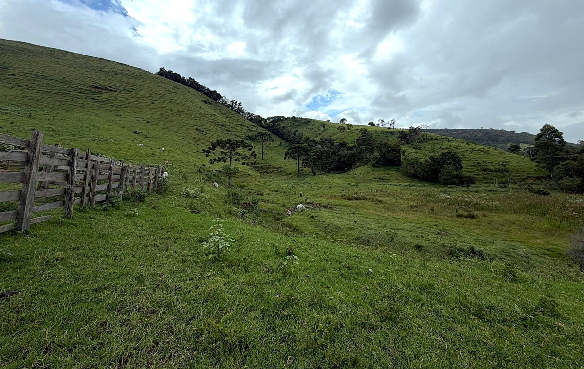 Fazenda, 73 hectares - Foto 5