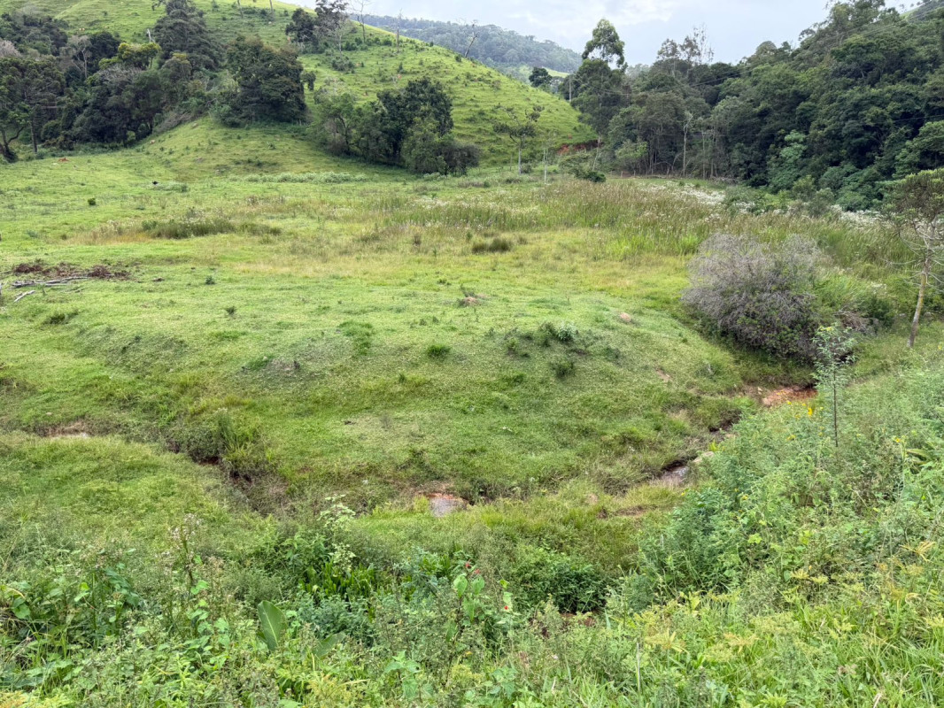 Fazenda, 73 hectares - Foto 4