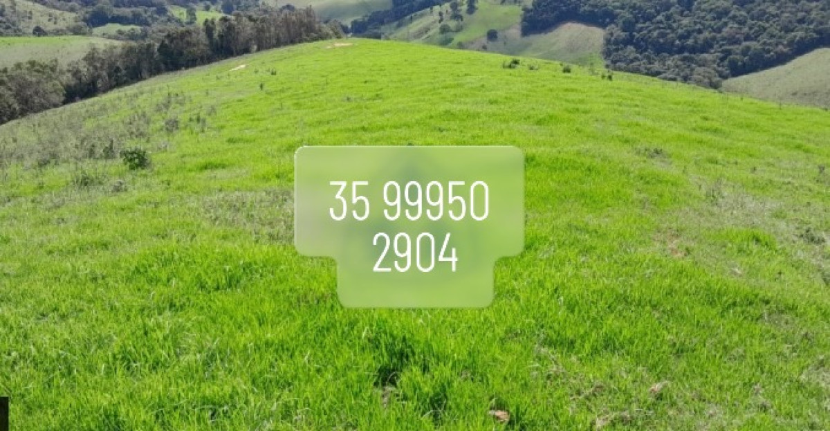 Chácara, 1 quarto, 73 hectares - Foto 6