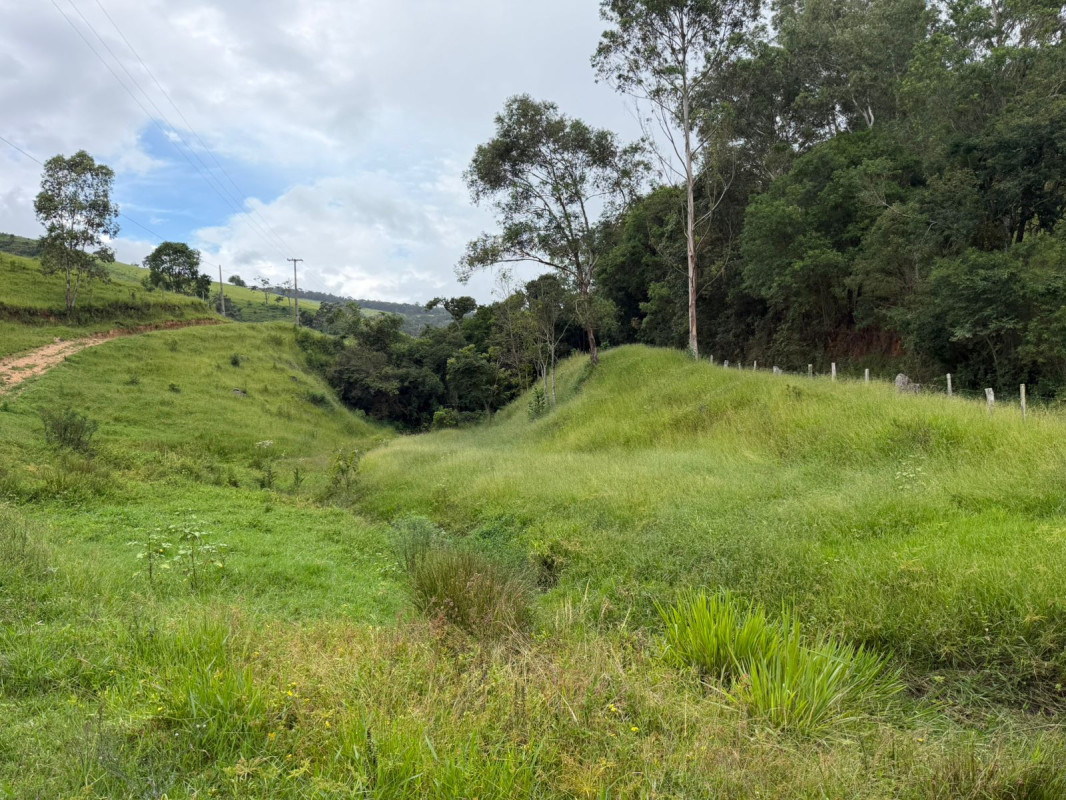 Chácara, 1 quarto, 73 hectares - Foto 8